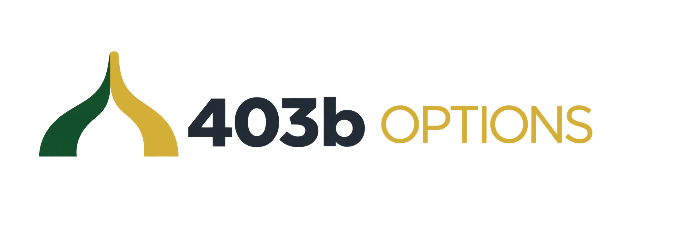 403b OPTIONS